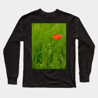 Poppy in Wheat Field Long Sleeve T-Shirt